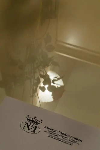 Mediterraneo 호텔 3*